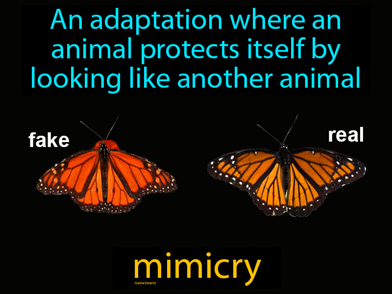 Mimicry Definition Image GameSmartz