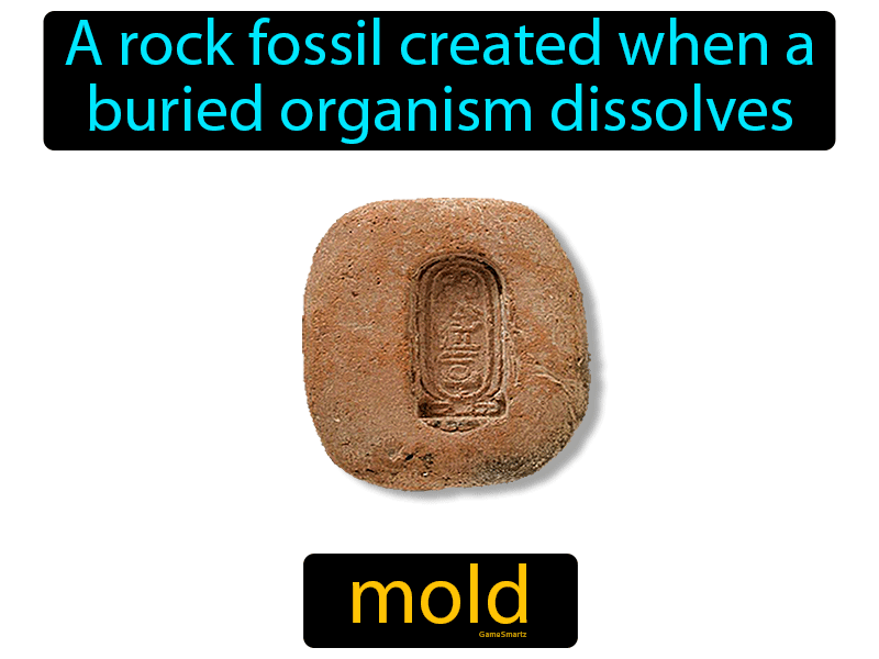 Mold Definition