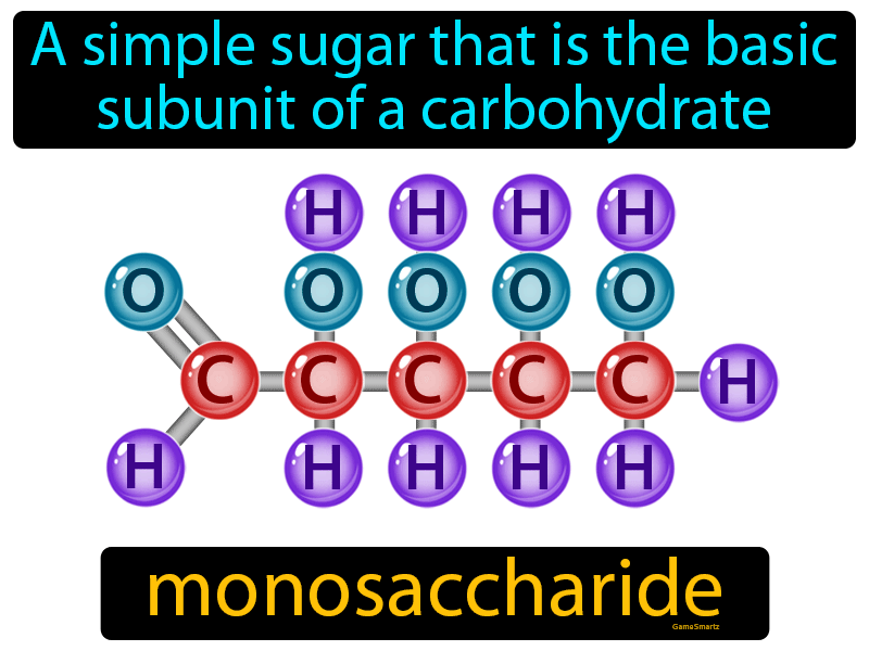 Monosaccharide Definition