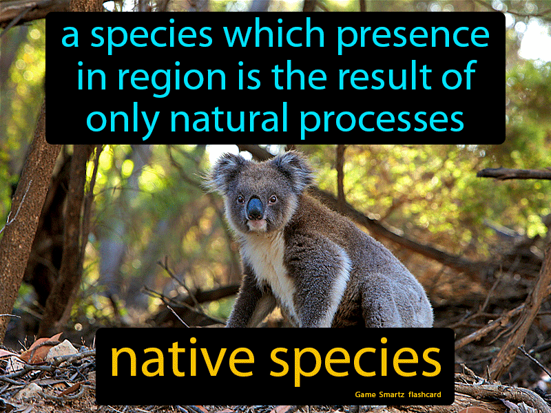 Native Species Definition