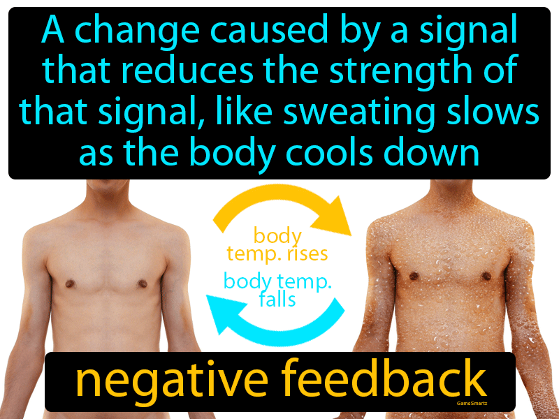 Negative Feedback Definition