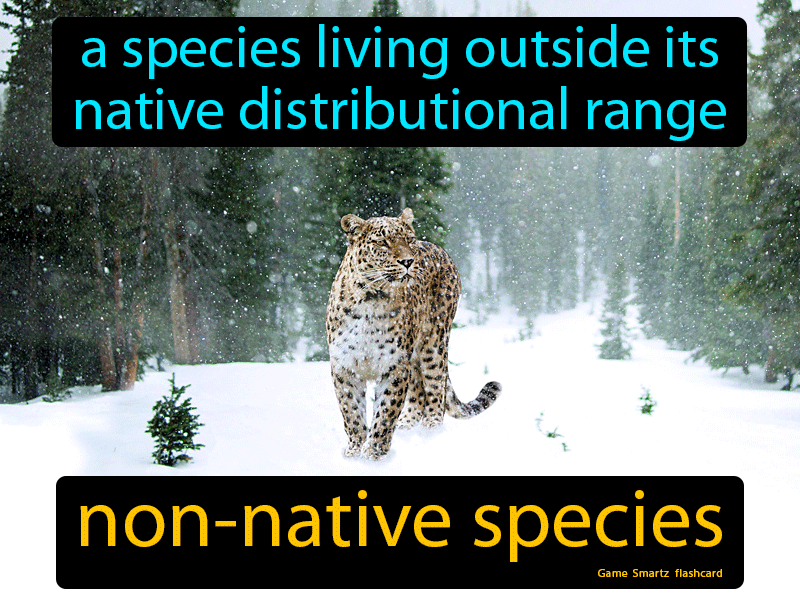 Non-native Species Definition