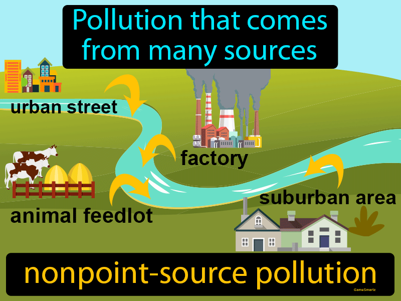 Nonpoint Source Pollution Image Game Smartz