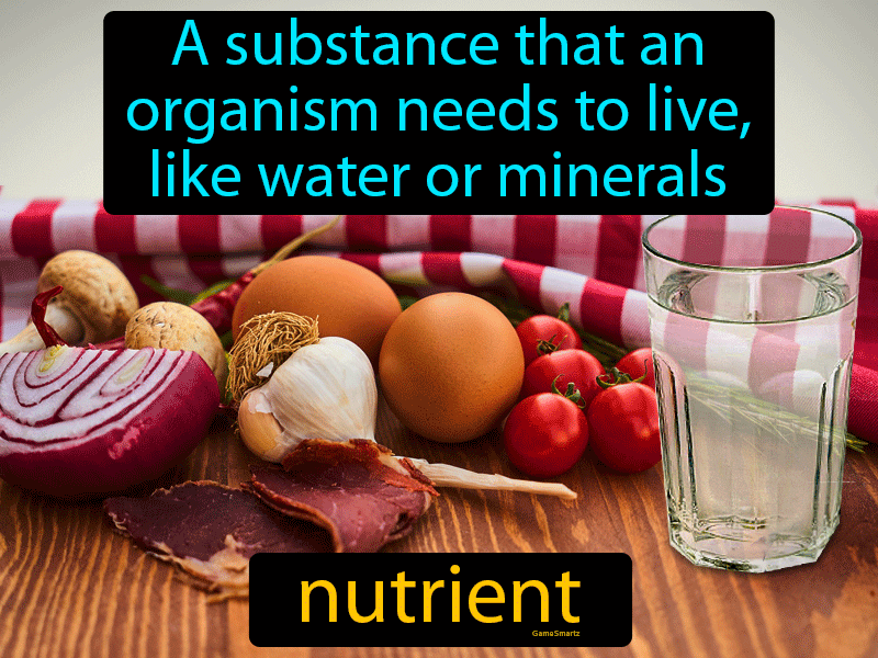 Nutrient Definition