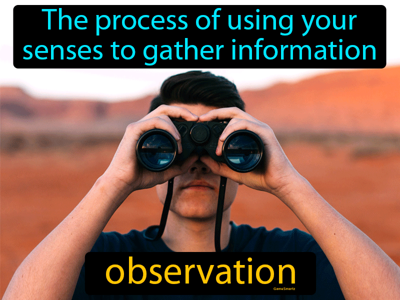 Observation Definition