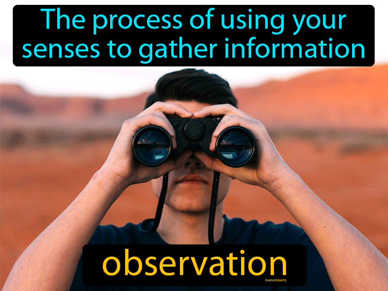 What Is The Meaning Of Observation Method - Printable Templates Protal