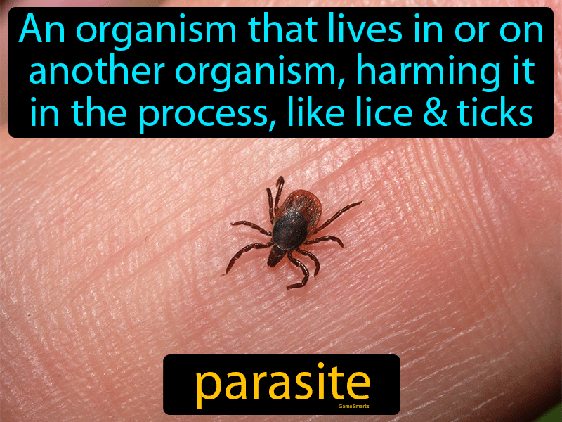 parasite-definition-image-gamesmartz