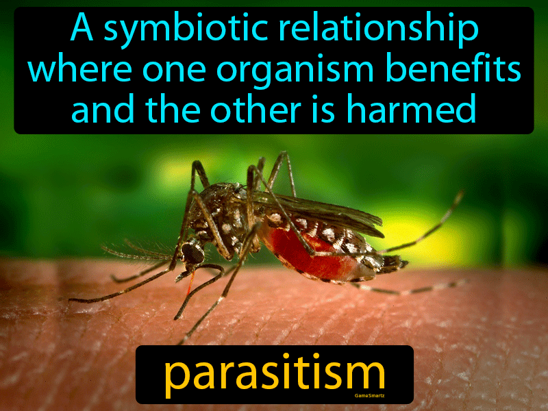 Parasitism Definition