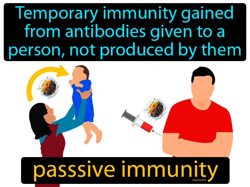 Passive Immunity Definition