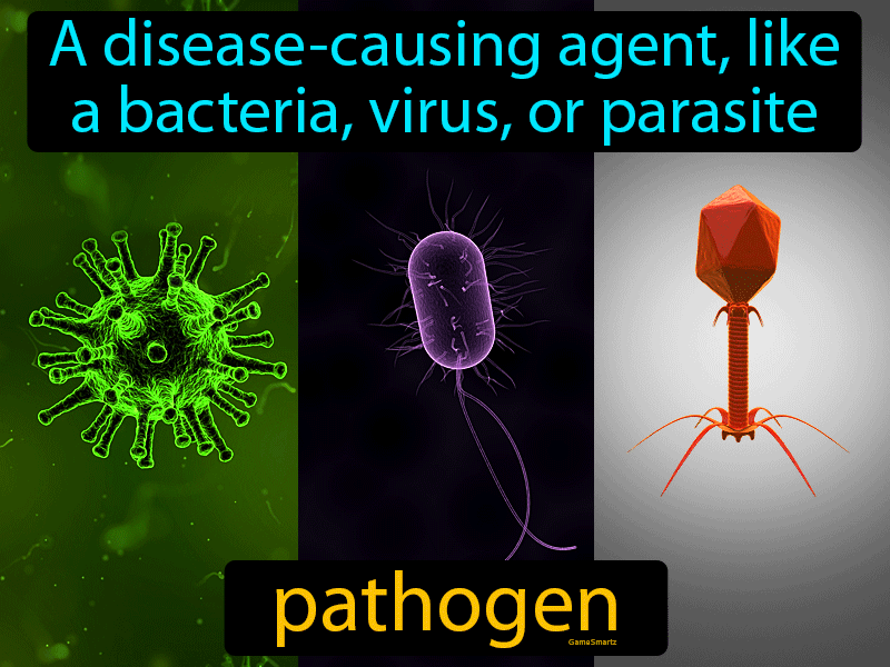 Pathogen Definition And Image Gamesmartz