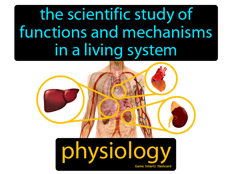 Physiology Definition