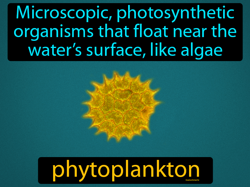 Phytoplankton Definition Image GameSmartz