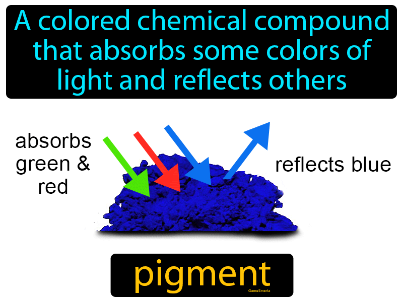 Pigment Definition & Image