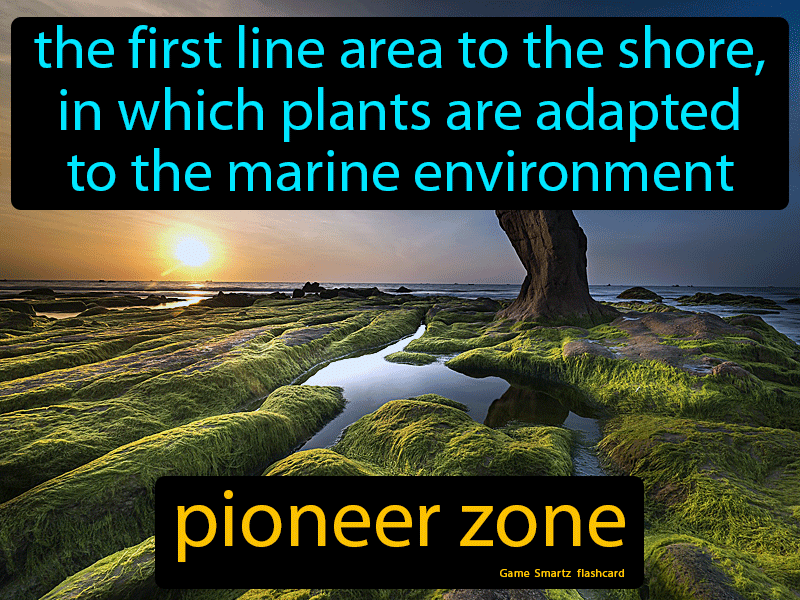 Pioneer Zone Definition