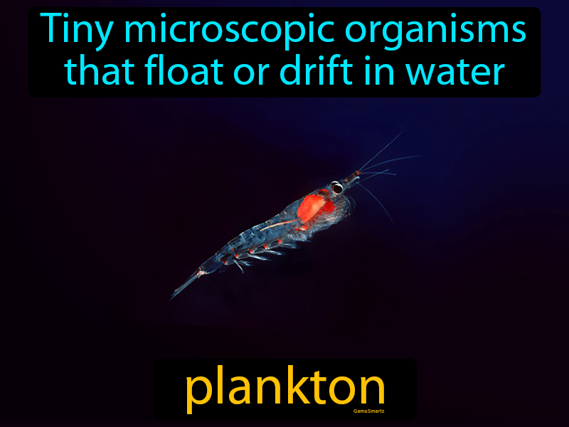 Plankton Definition