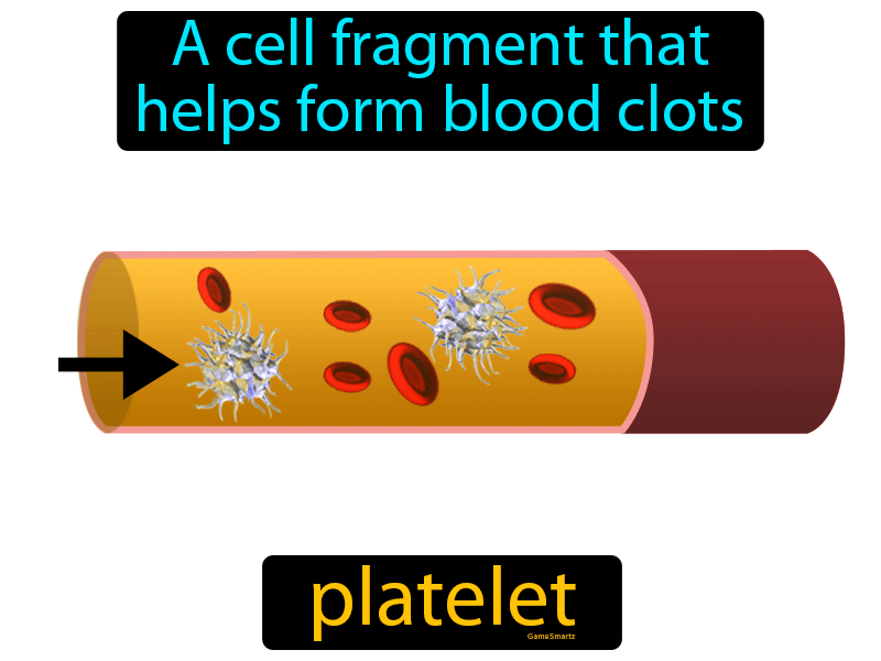 Platelet Definition