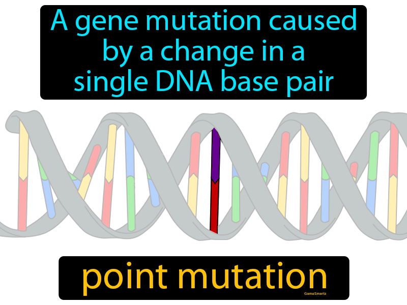 Point Mutation Definition