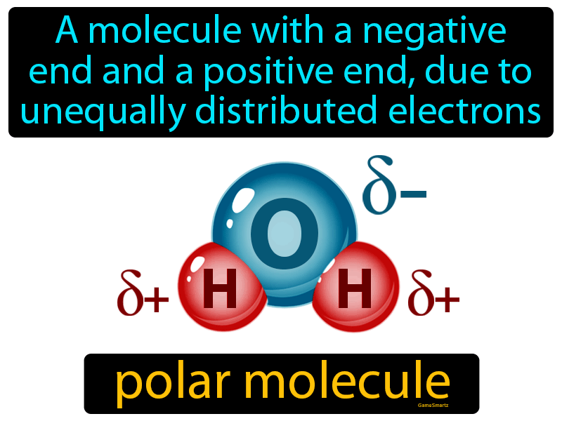 Polar Molecule Definition