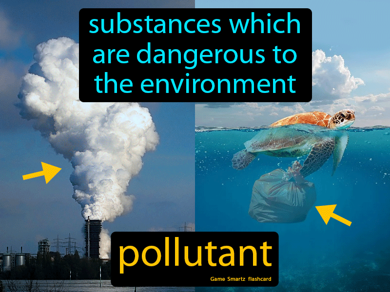 Pollutant Definition