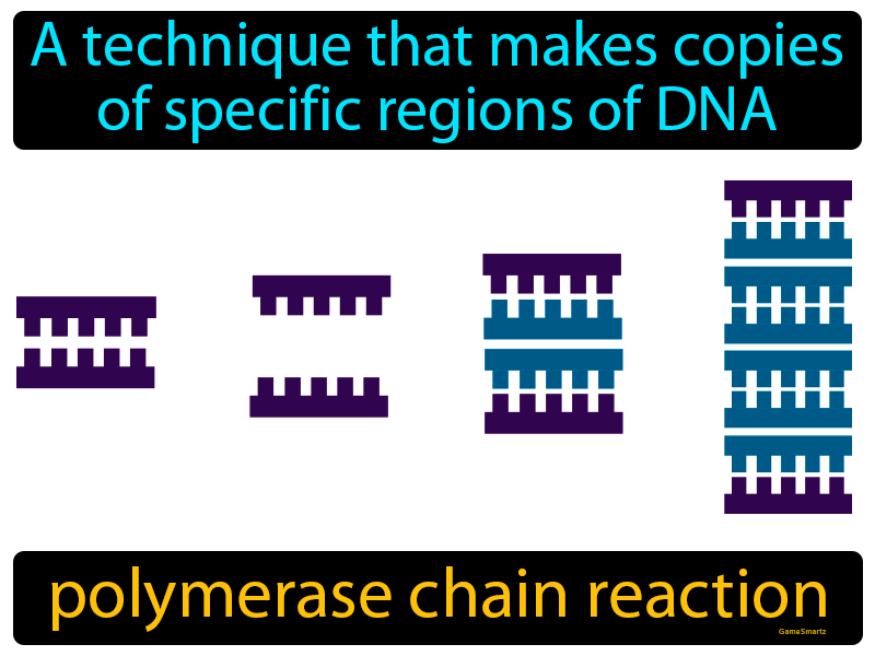 Polymerase Chain Reaction Definition