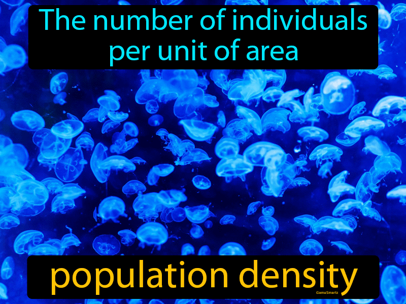 Population Density Definition