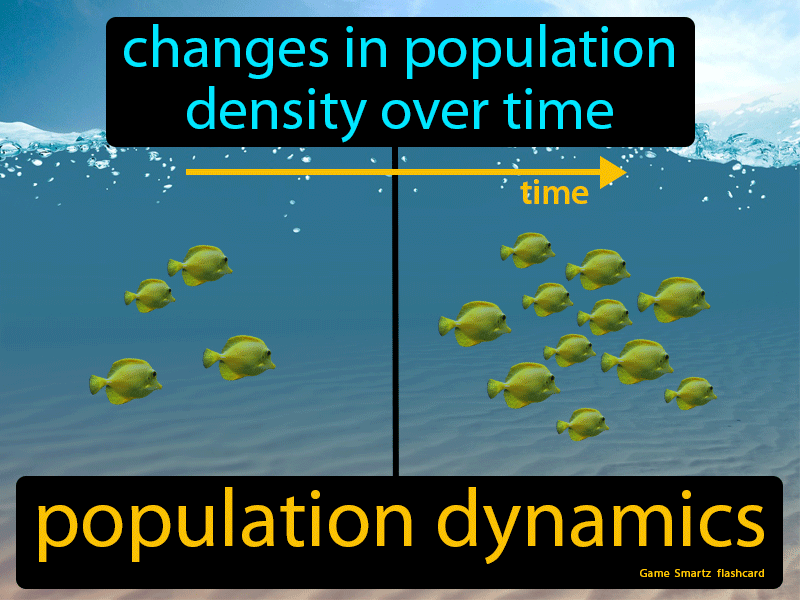 Population Dynamics Definition
