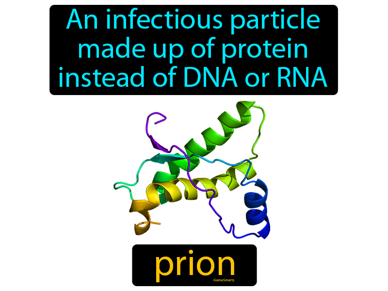 Prion Definition