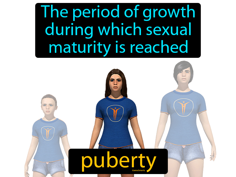 Puberty Definition