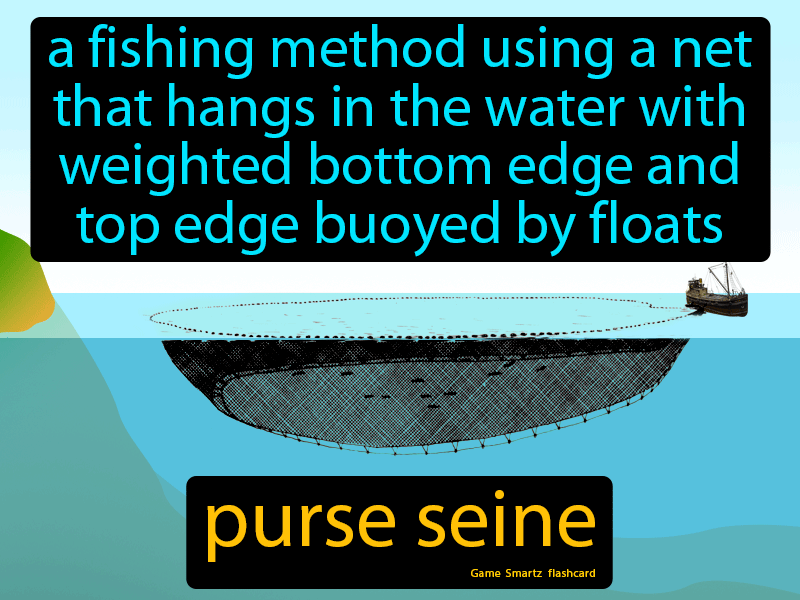 Distribution of the origin of purse seine fishing fleet operating in... |  Download Scientific Diagram