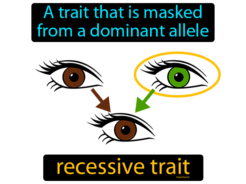 what is the definition of recessive trait