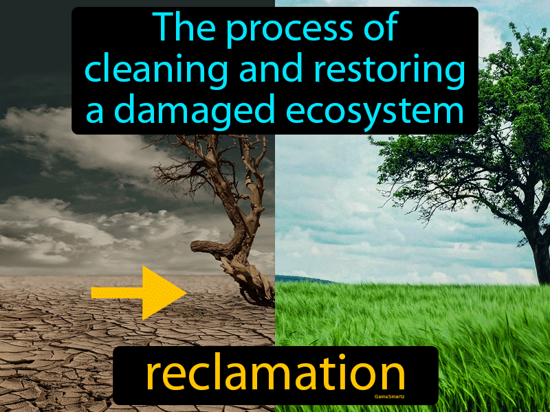 Reclamation Definition