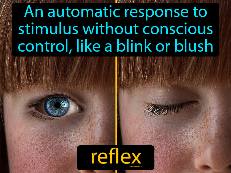 Reflex Definition