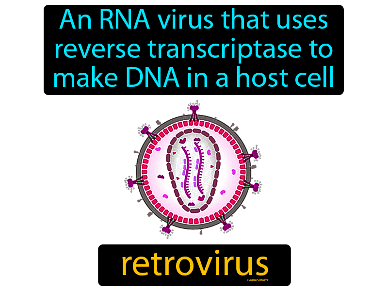 Retrovirus Definition