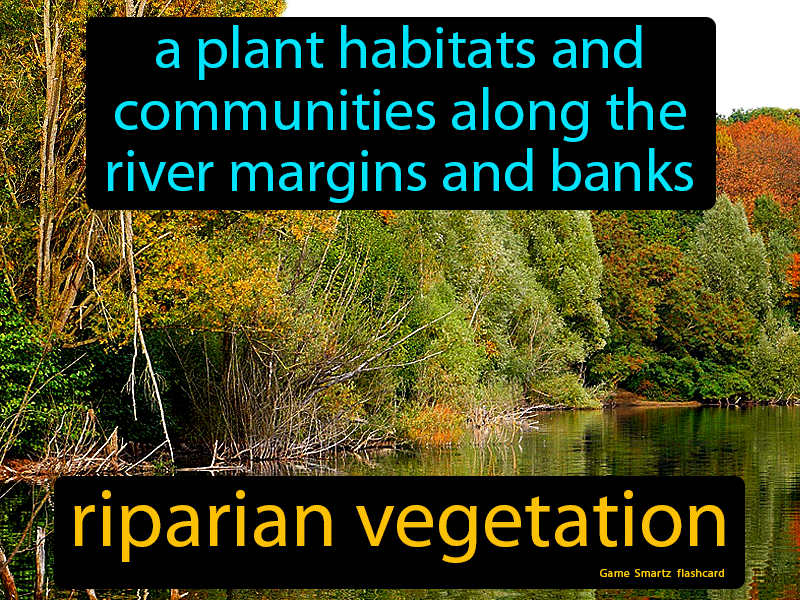 Riparian Vegetation Definition