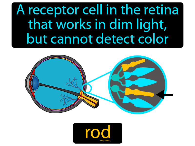 Rod Definition