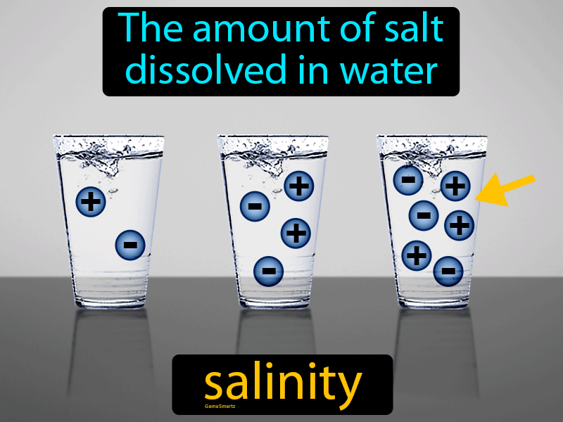 Salinity Definition