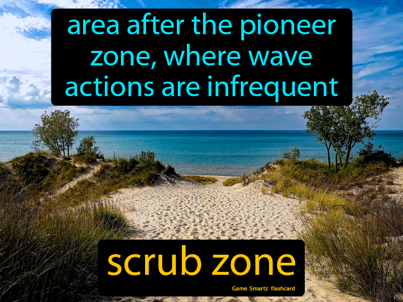 Scrub Zone Definition