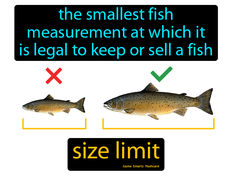 Size Limit Definition