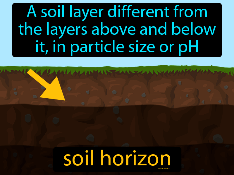 topsoil a horizon definition