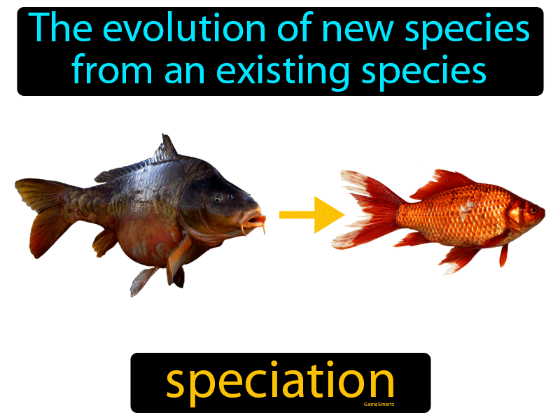 Speciation Definition