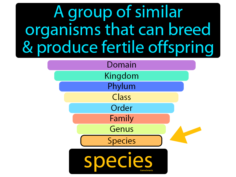 organism definition