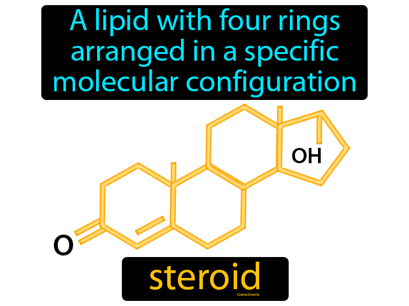 Steroid Definition