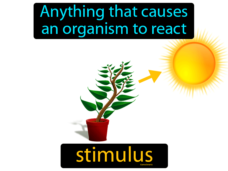 Stimulus Definition - with Image | GameSmartz