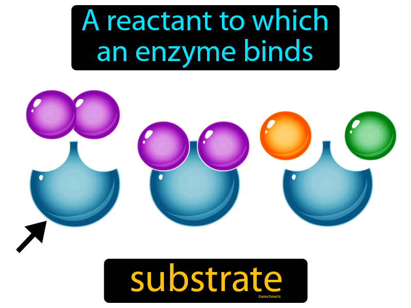 Substrate Definition