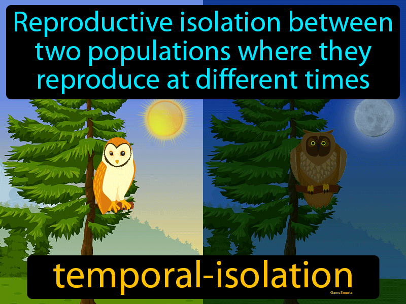 Temporal Isolation - Definition Image - Game Smartz