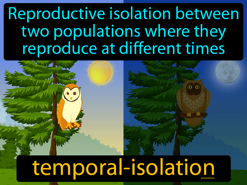 Temporal Isolation Definition Image GameSmartz