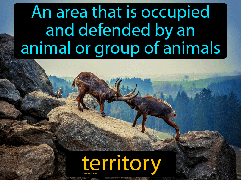 Territory Definition