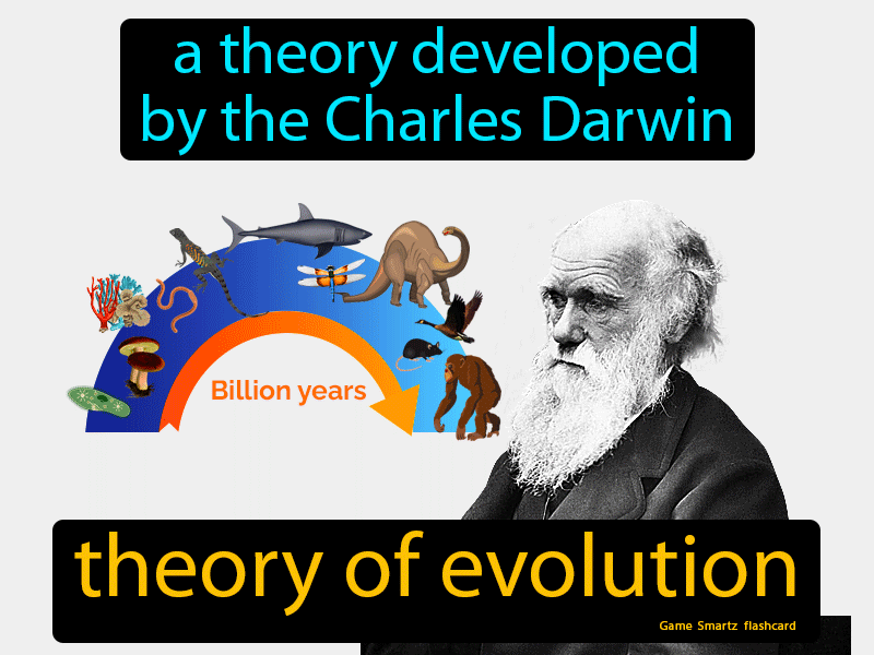 Theory Of Evolution Definition