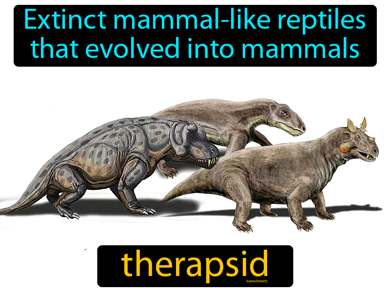 Therapsid Definition
