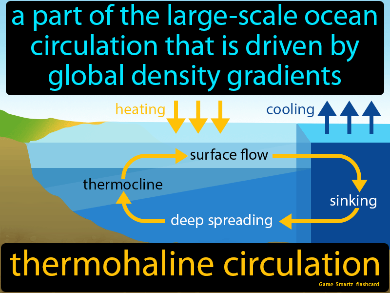 Thermohaline Circulation Definition